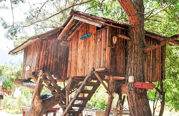 готель Treehouse, Олімпос,  дерво, природа