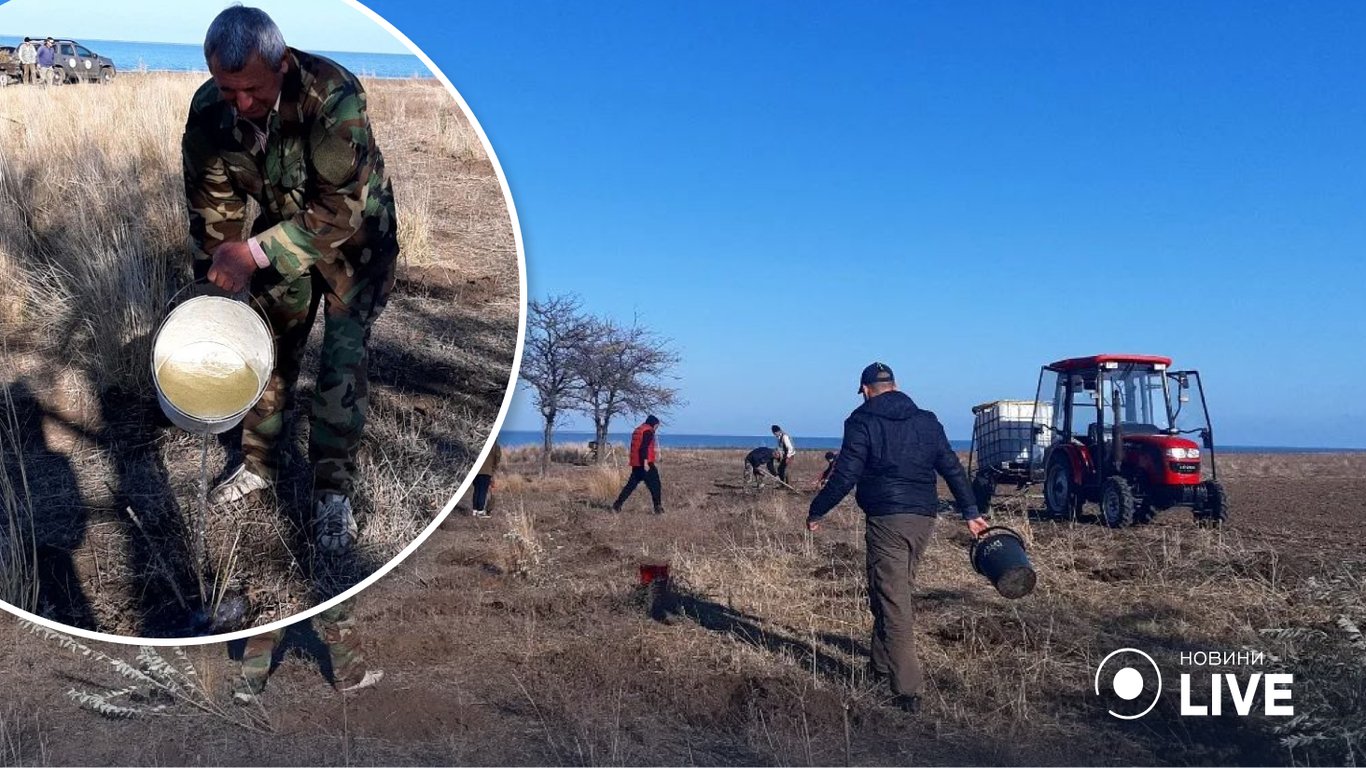 Озеленення нацпарку на Одещині під загрозою