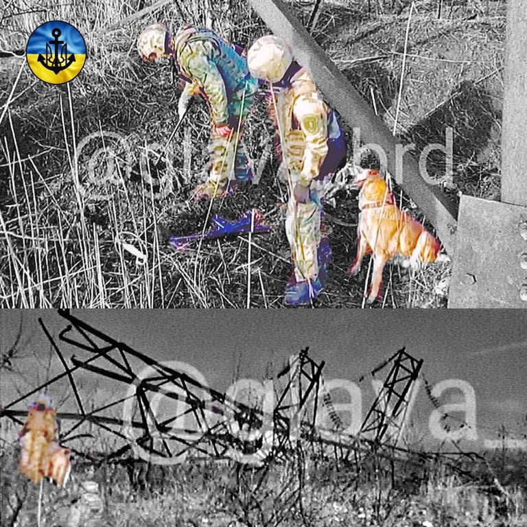 партизаны в Бердянске