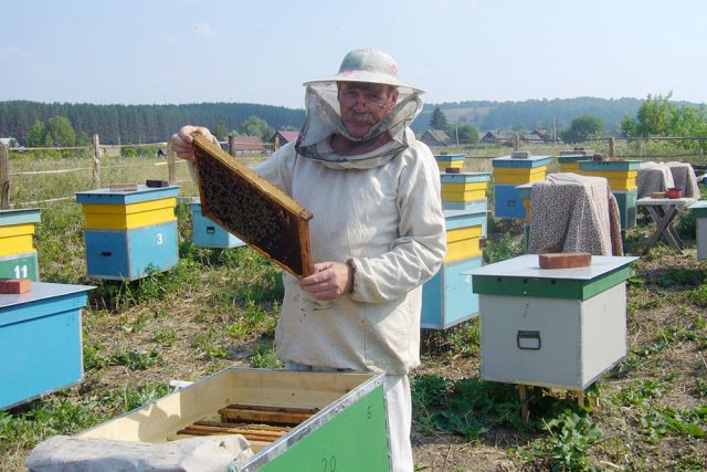 пасічник