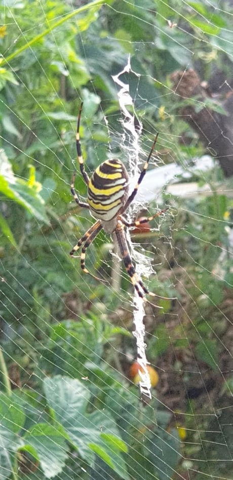 Лесби порно анасы мен қызы Порно фото трахается жопы
