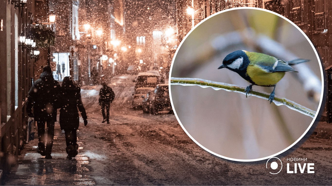 Коли в Україні випаде перший сніг: в Укргідрометцентрі розповіли прогноз погоди