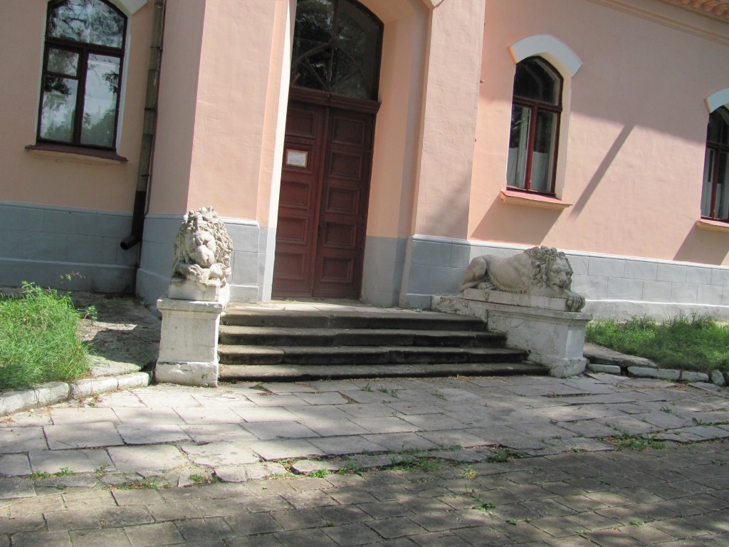 львы