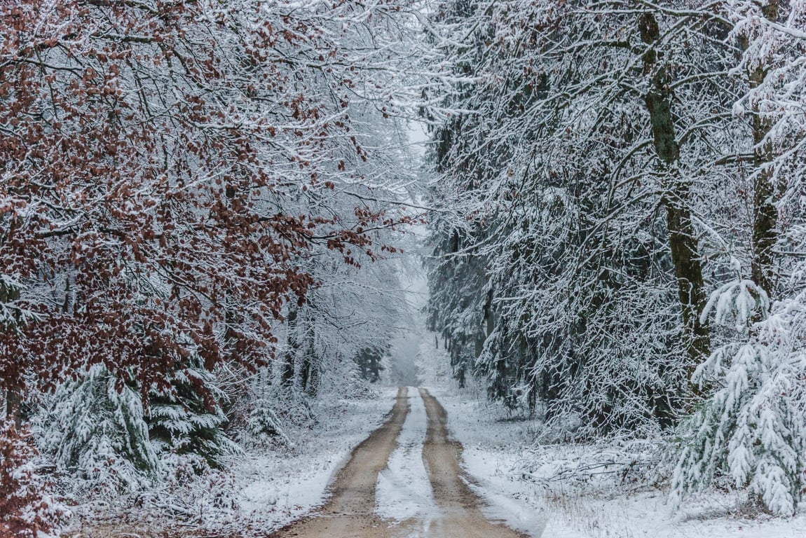 К чему снится идти по снегу и по заснеженной дороге?