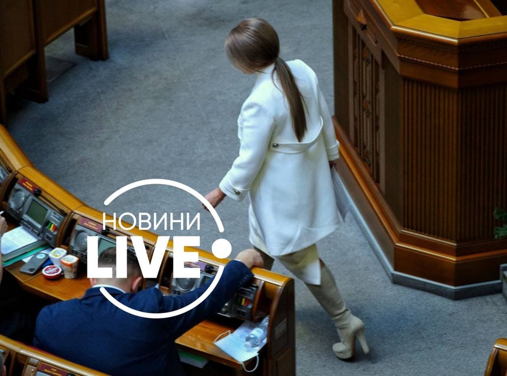 Наряд Тимошенко - фото
