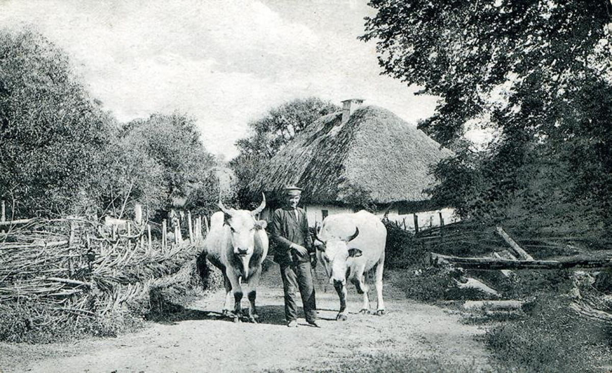 Українське село