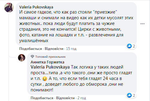 В Одесі зоозахисники забрали з Дерибасівської кролів і хом'яків