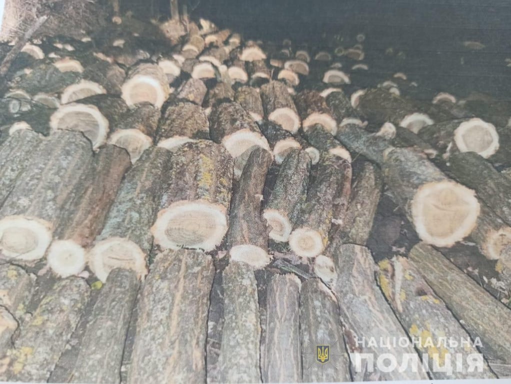 Одесская область, полиция