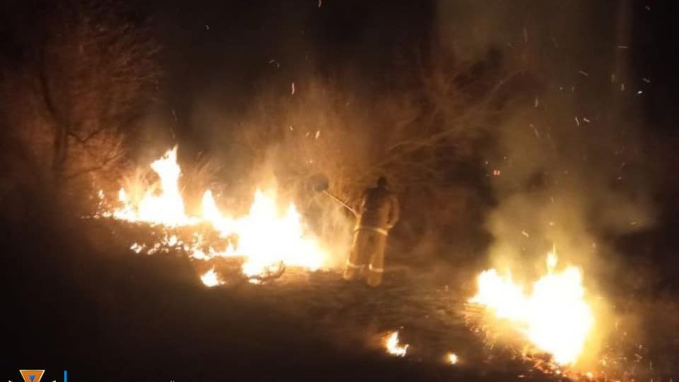 В Одесской области тушили пожары вблизи населенных пунктов