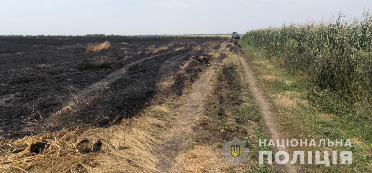 В Одеській області вигоріло 13 гектарів пшениці: підозрюють підпал