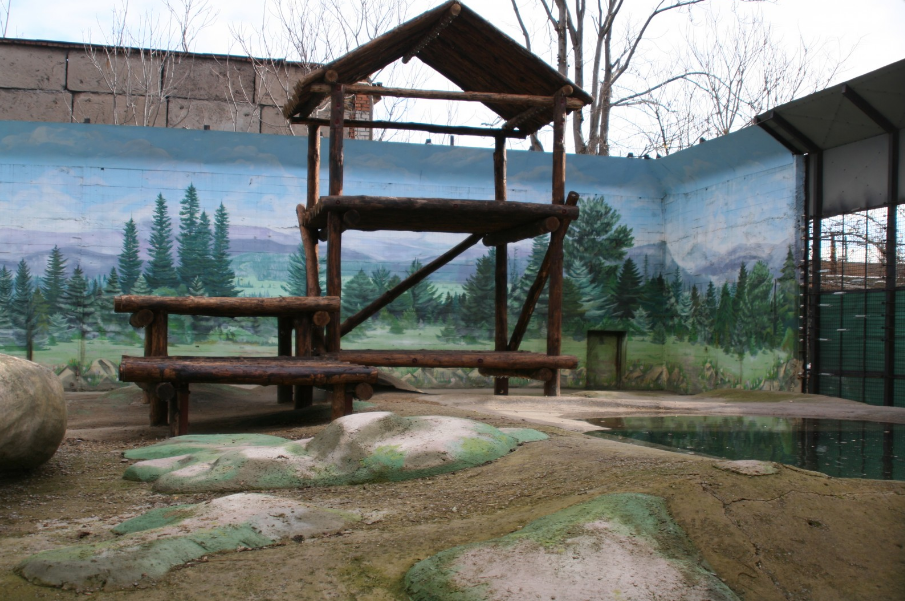 В зоопарку Одеси облаштували ігровий майданчик для ведмедів - фото