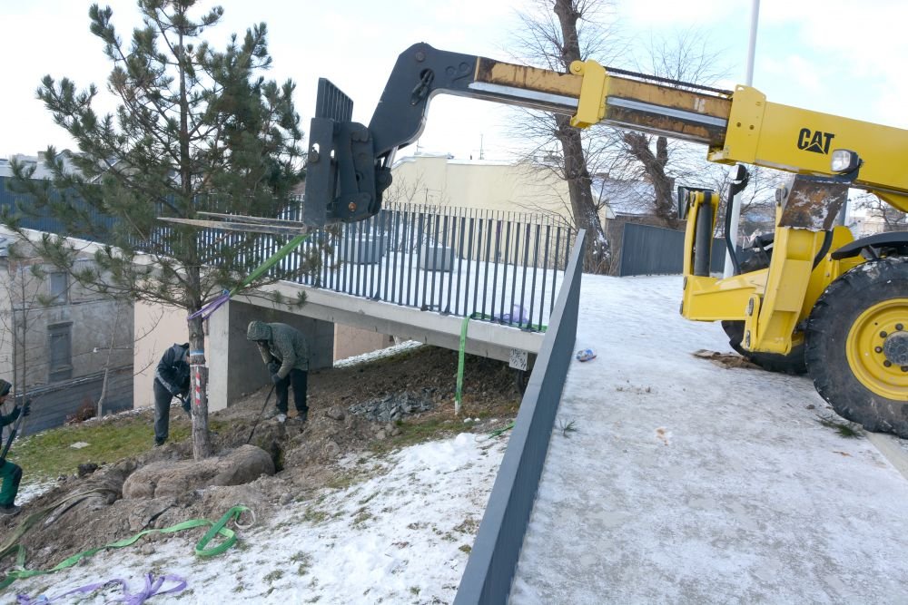 У Львові висадили дерева