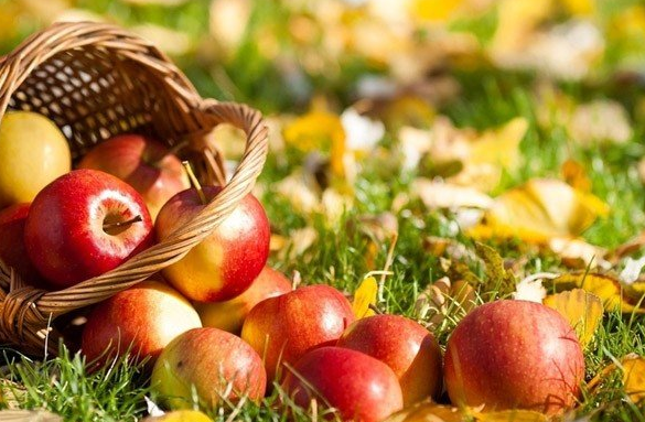 Яблочный Спас - традиции, приметы, что можно и что нельзя делать