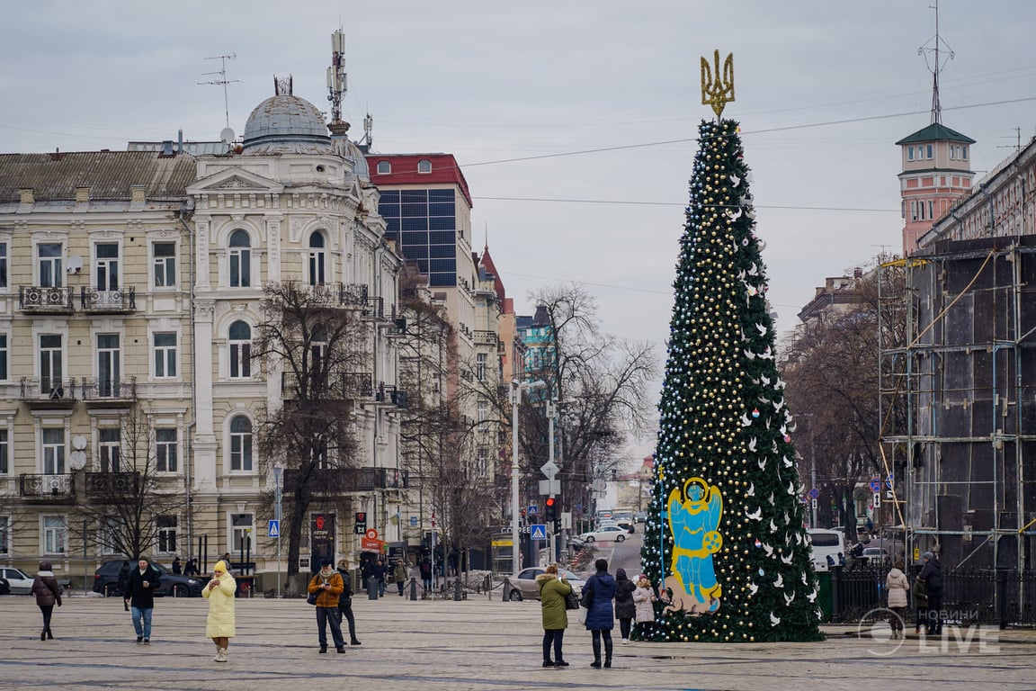 ялинка незламності