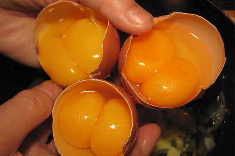 яйце подвійний жовток