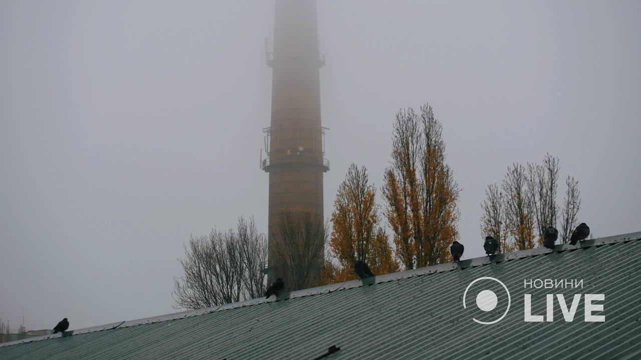 В области выпал первый снег