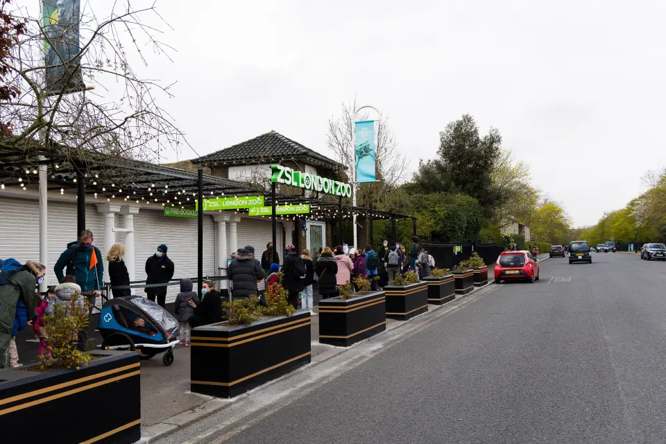 ZSL Zoo був показаний у першому фільмі про Гаррі Поттера