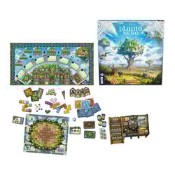 Planta Nubo - Görsel 2