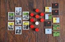 Watergate - Görsel 3