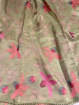 Apple Green Tissue georgette saree with embroidery