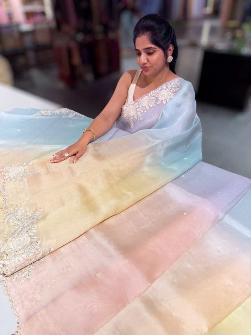 Ombre dyed Pure Organza Saree with parsi gara embroidery SS50282