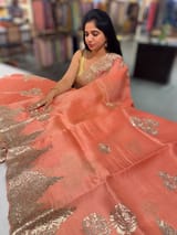 Coral Peach Organza with chantilly Lace embroidery SS50482