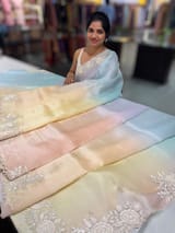 Ombre dyed Pure Organza Saree with parsi gara embroidery SS50282
