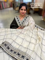 Ivory checks Organza with Sabhya inspired borders : S62F068