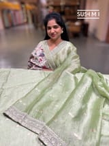 Apple Green Banarasi Tissue : S62F221