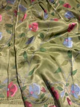 Sage Green Tissue georgette saree with embroidery