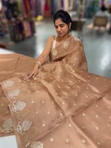 Nude Brown Organza Saree With Embroidery & Tussar Printed Blouse SS50328