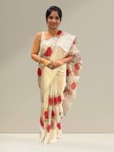 Silver tissue saree with embroidery