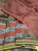 Pure Organza saree with sabhyasachi borders SS50522
