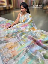 Printed Organza Tissue stripes saree with embroidery