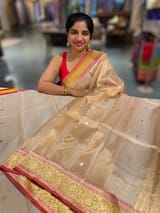 Banarasi Handloom Gold tissue Saree with multi color woven border. SS50419