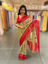 Light Olive Tissue Gorgette Fusion Saree with vidarbha Borders SS50226