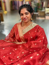 Red Pure handloom Banarasi Tissue saree