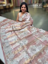 Printed Organza Tissue stripes saree with embroidery
