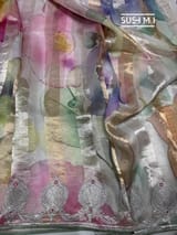Printed Organza Tissue stripes saree with embroidery