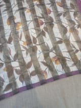 Mul silk tissue stripes handloom saree with handpainting