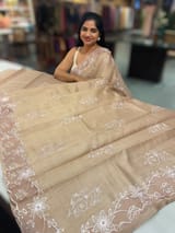 Chickoo Tussar Saree with organza embroidered border SS50550