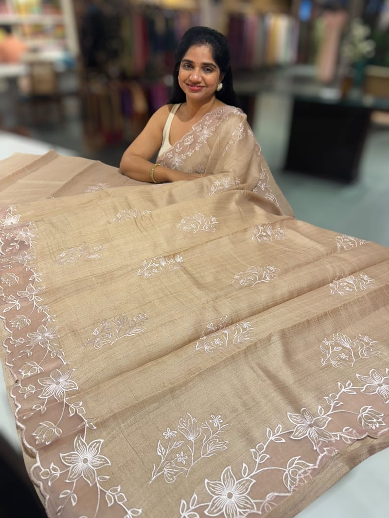Chickoo Tussar Saree with organza embroidered border SS50550