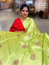 Apple Green Banarasi Handloom Dupion Rawsilk Saree : S62F100