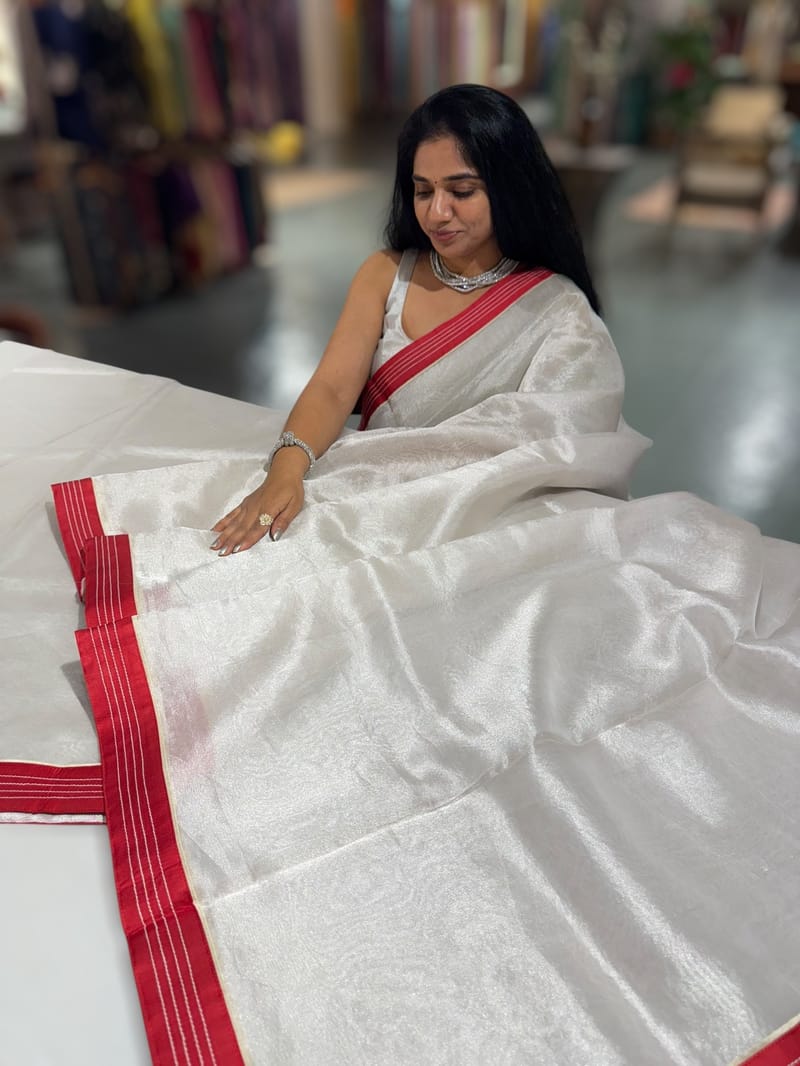 Snowwhite Tissue Saree with patola inspired borders and figure embroidery tissue blouse SS50421