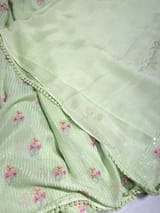 Sea Green chiffon saree with embroidery SS50519