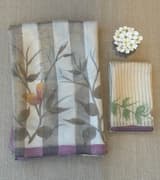 Mul silk tissue stripes handloom saree with handpainting