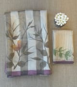 Mul silk tissue stripes handloom saree with handpainting