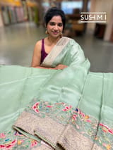 Mint Organza Banarasi Fusion Saree with Bird Appliqué