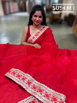 Chilli Red pure Organza with sabhya borders : S62F145