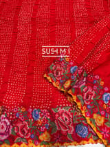 Chilli Red Pure Gajji Silk Rai bandhej Saree with petite point embroidery